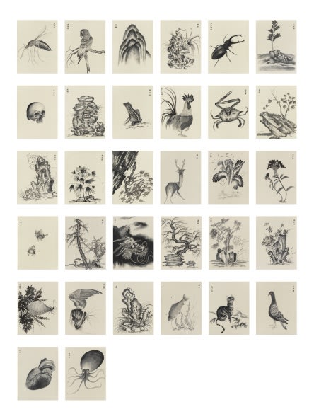 SUN XUN, THE BOOK OF TOTEM, 2016