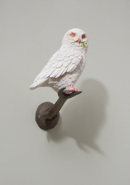 JANG JONGWAN, AN OWL HOLDING A FOUR-LEAF CLOVER, 2017