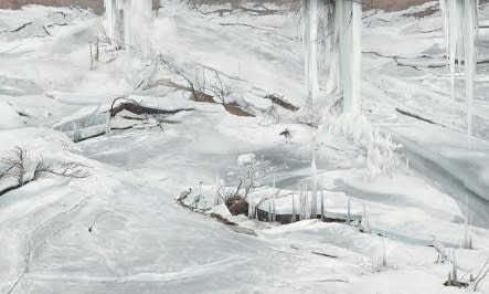 WON SEOUNG WON, ICE PILLARS OF THE GOVERNMENT OFFICERS, 2017, C-PRINT