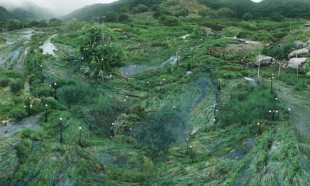 WON SEOUNG WON, THE WATER-GRASS NETWORK OF THE IT SPECIALIST, 2017, C-PRINT