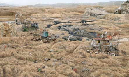WON SEOUNG WON, WINDY FIELDS OF THE PROFESSOR, 2017, C-PRINT