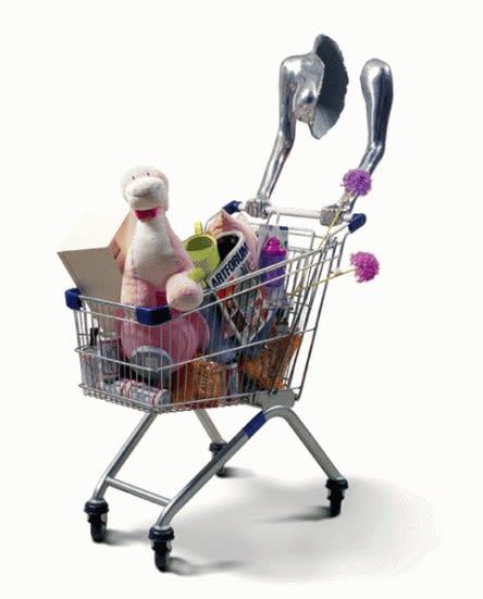 CI KIM, SHOPPING WOMAN