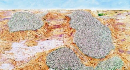 PARK SEJIN, RESIDUES #6, 2003