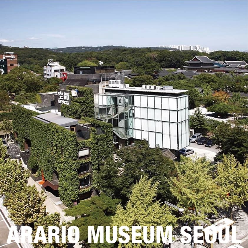 Museum Consulting