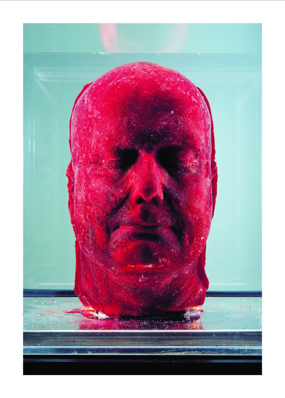 Marc Quinn Postcard