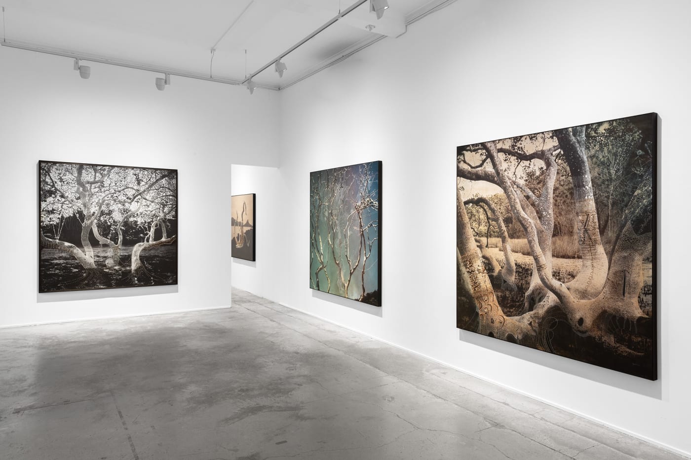Joshua Yeldham
