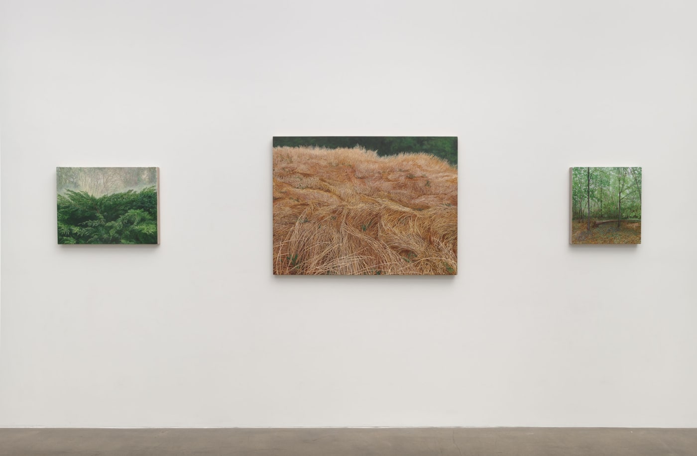Five Painters