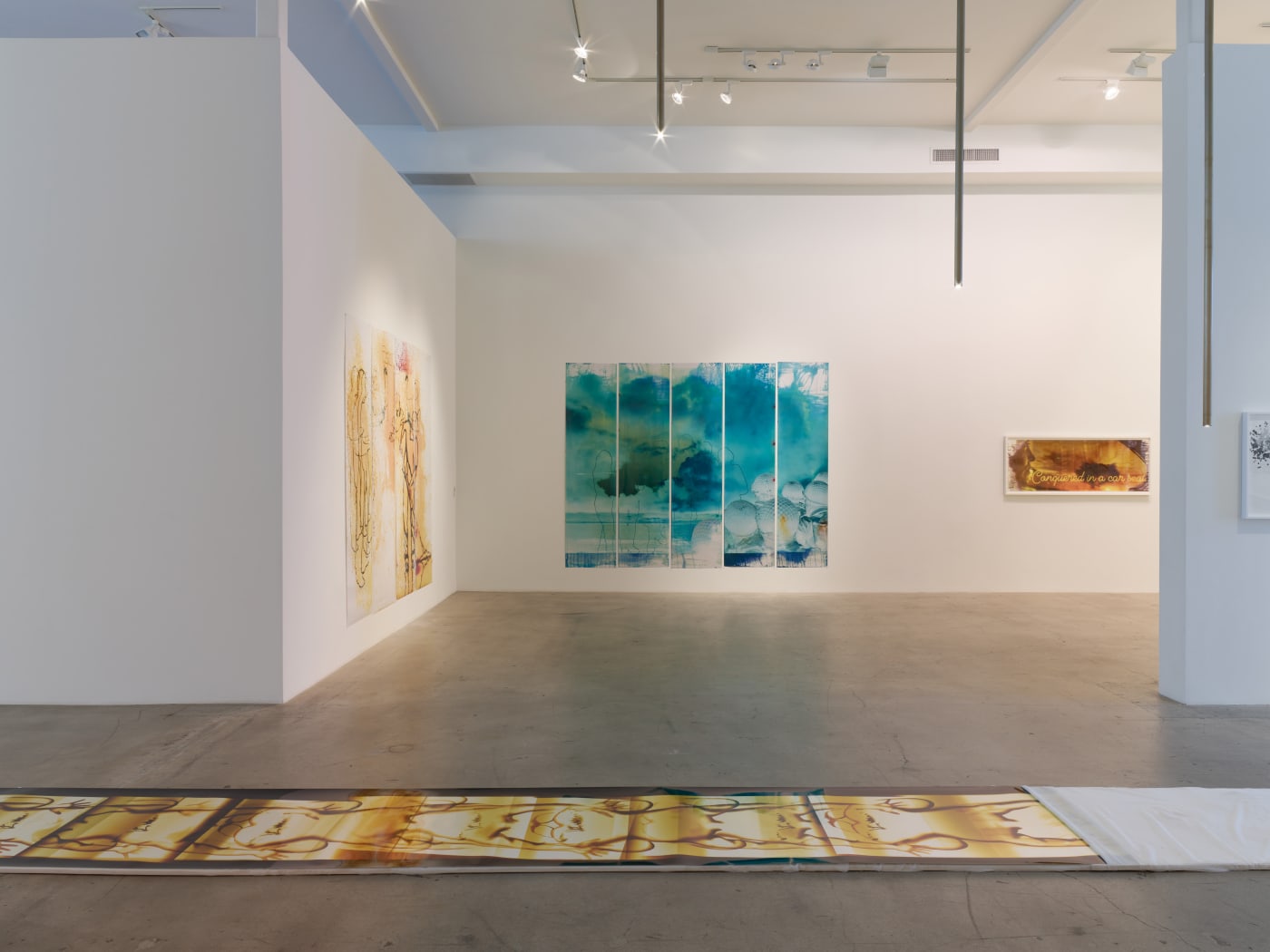 Farrah Karapetian: The Photograph is Always Now