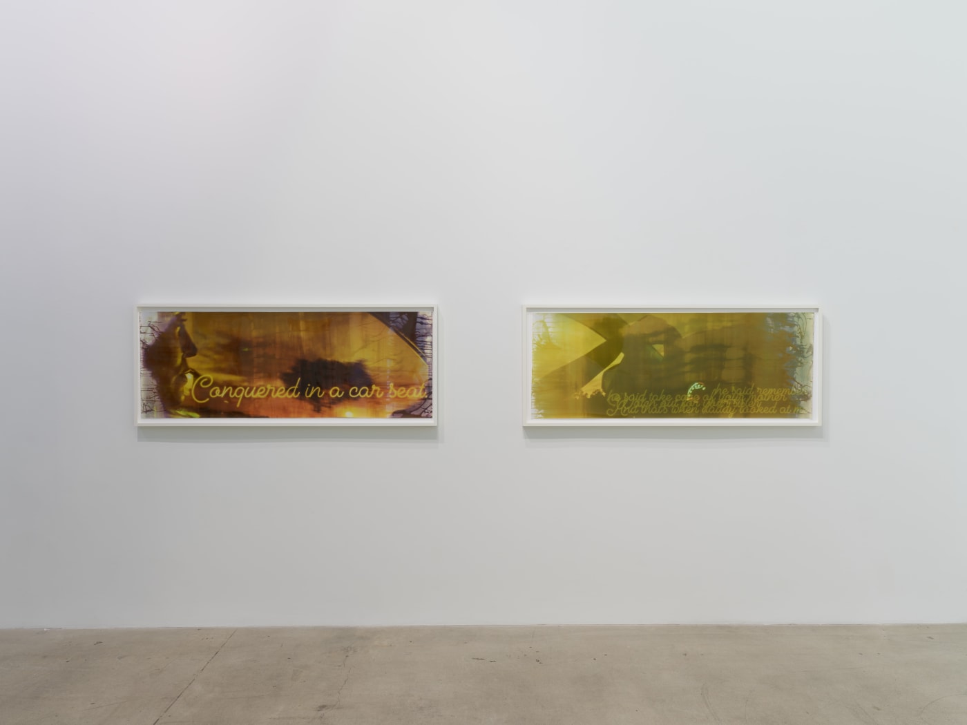 Farrah Karapetian: The Photograph is Always Now