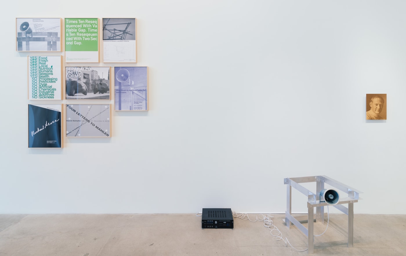 David Schafer: Models of Disorder