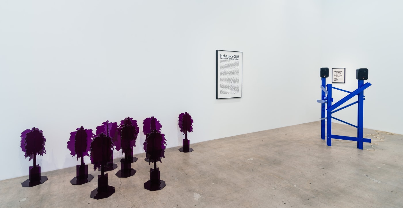 David Schafer: Models of Disorder