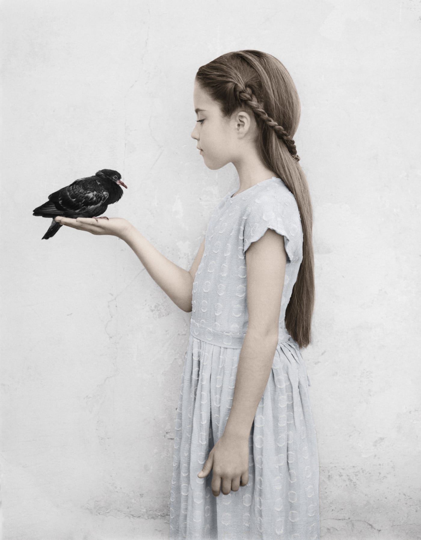 Vee Speers Untitled #22, The Birthday Party, 2008