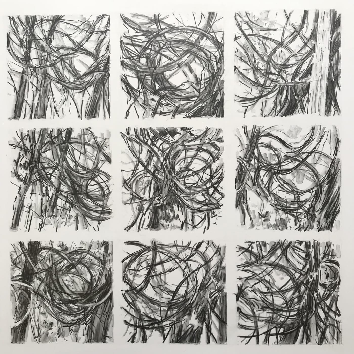 Nina Jerome: Entangled Space