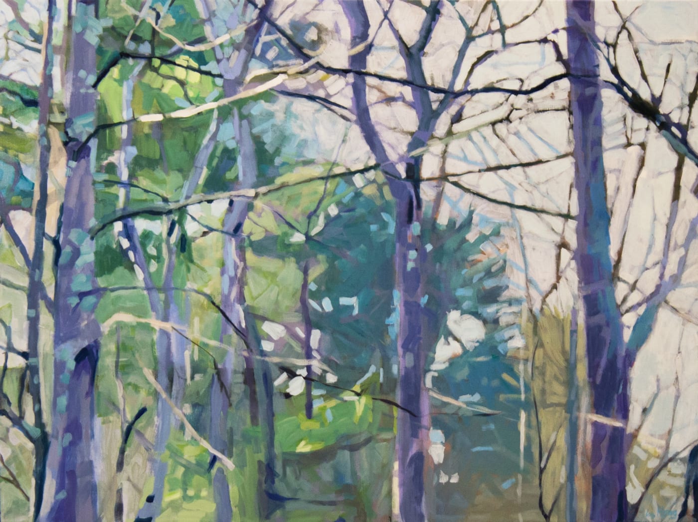 Liz Hoag: Beyond The Trees