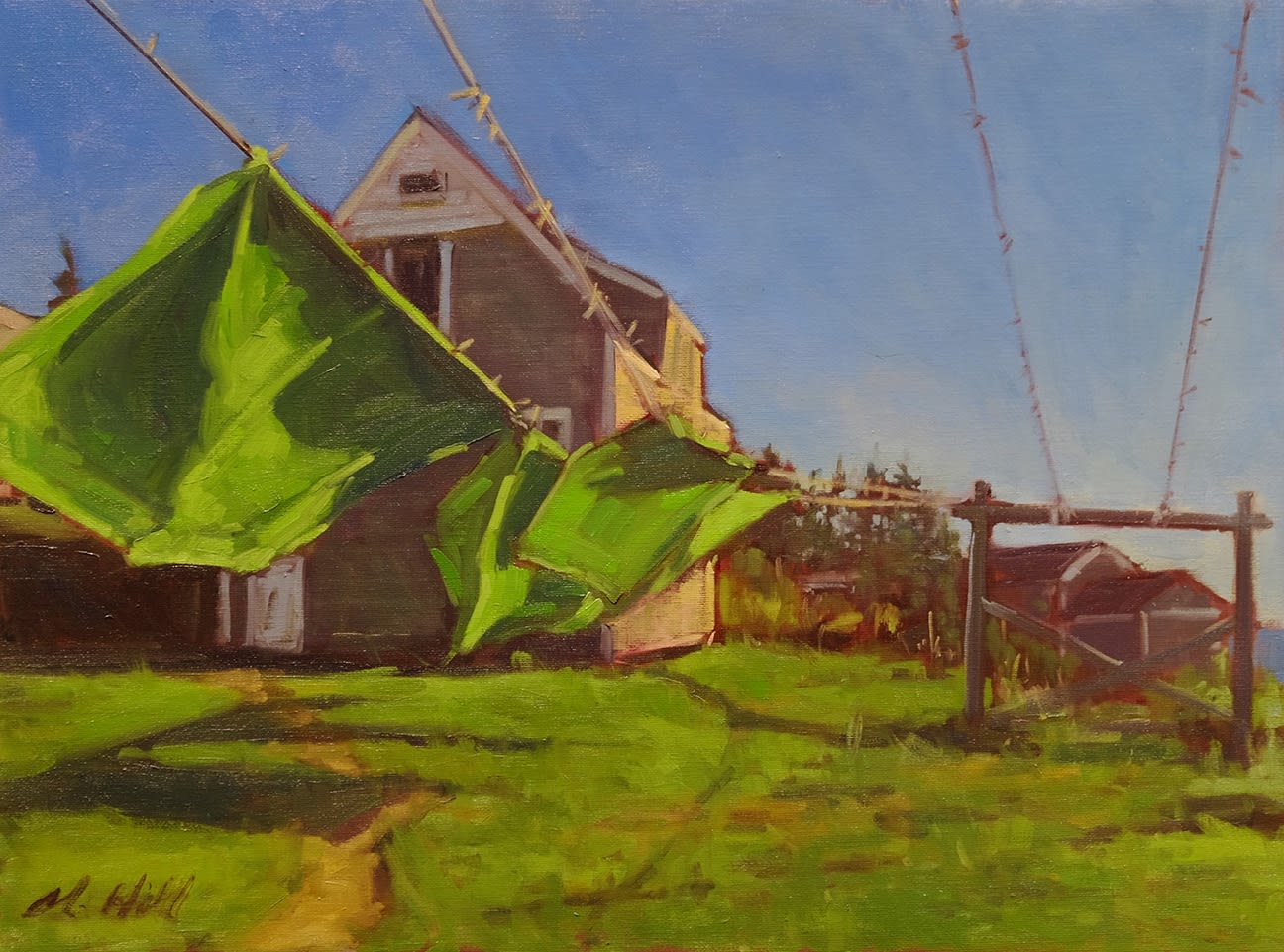 A Celebration of the Art of Monhegan Island, Alison Hill: Untamed Beauty, Richard Keen: Monhegan Abstracted plus a discu