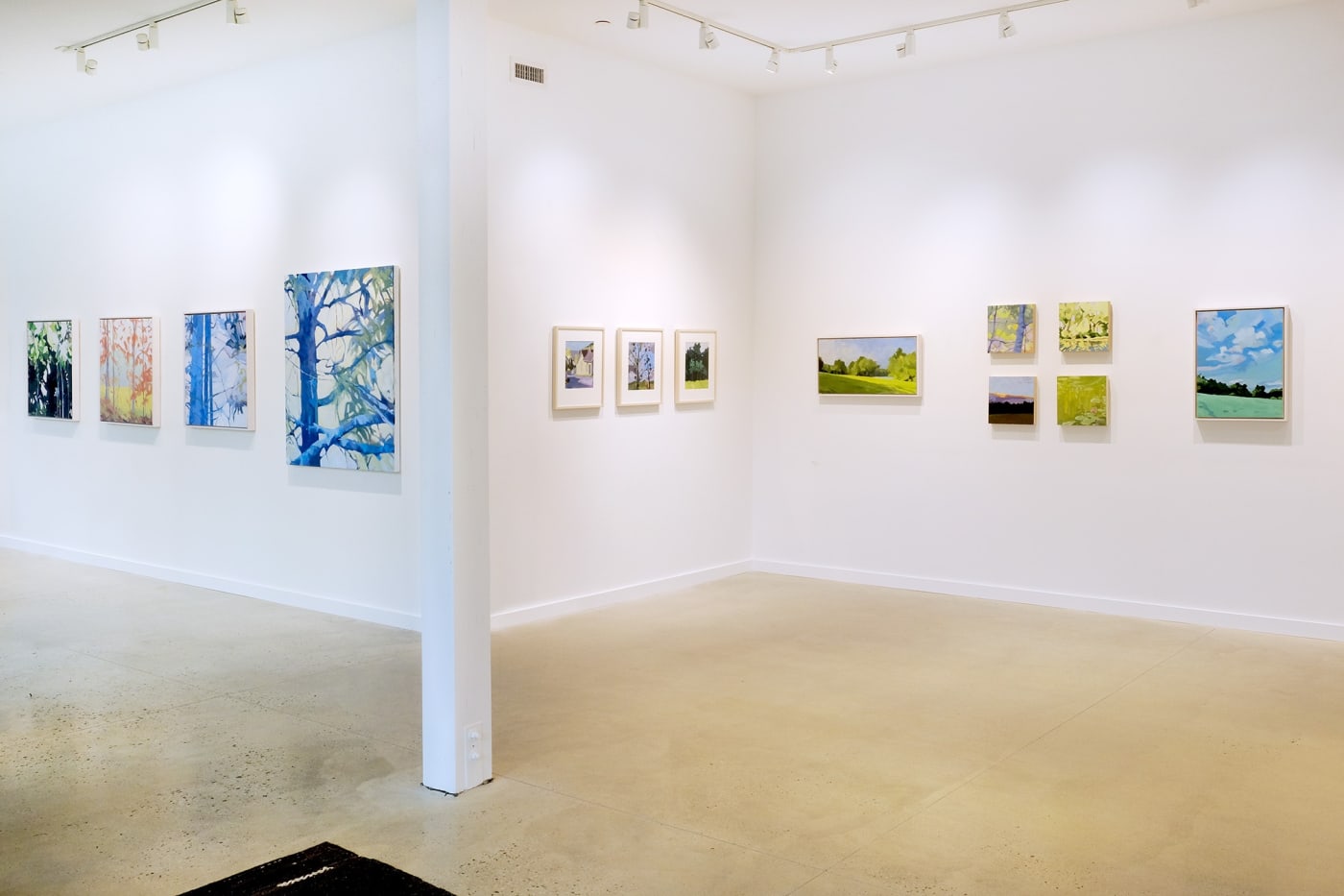 Anne Ireland: New Works