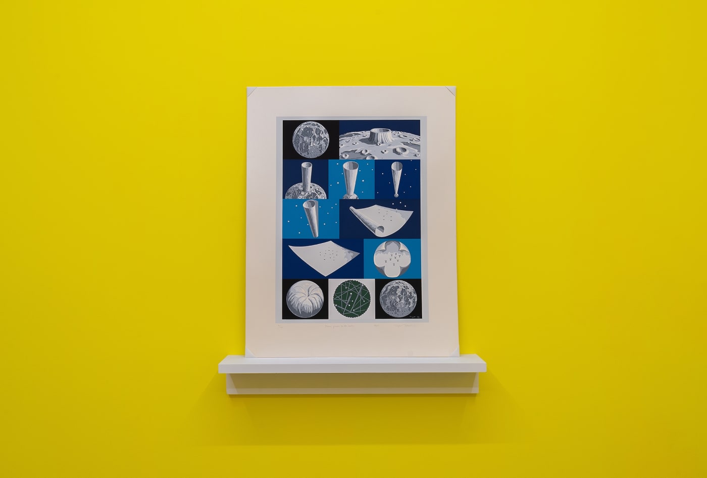 Installation View: Tiger Tateishi