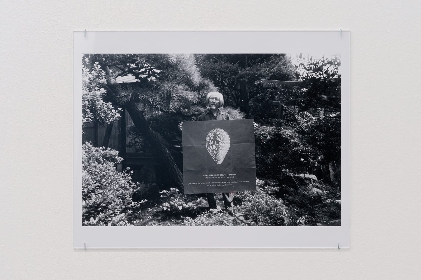 Yutaka Matsuzawa through the lens of Mitsutoshi Hanaga