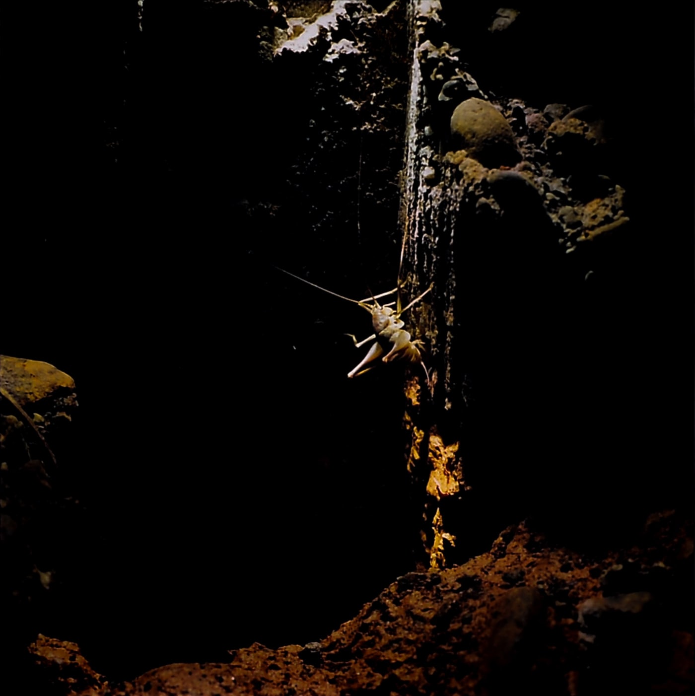Naoya Hatakeyama, "Underground / Water #6209", 1999
