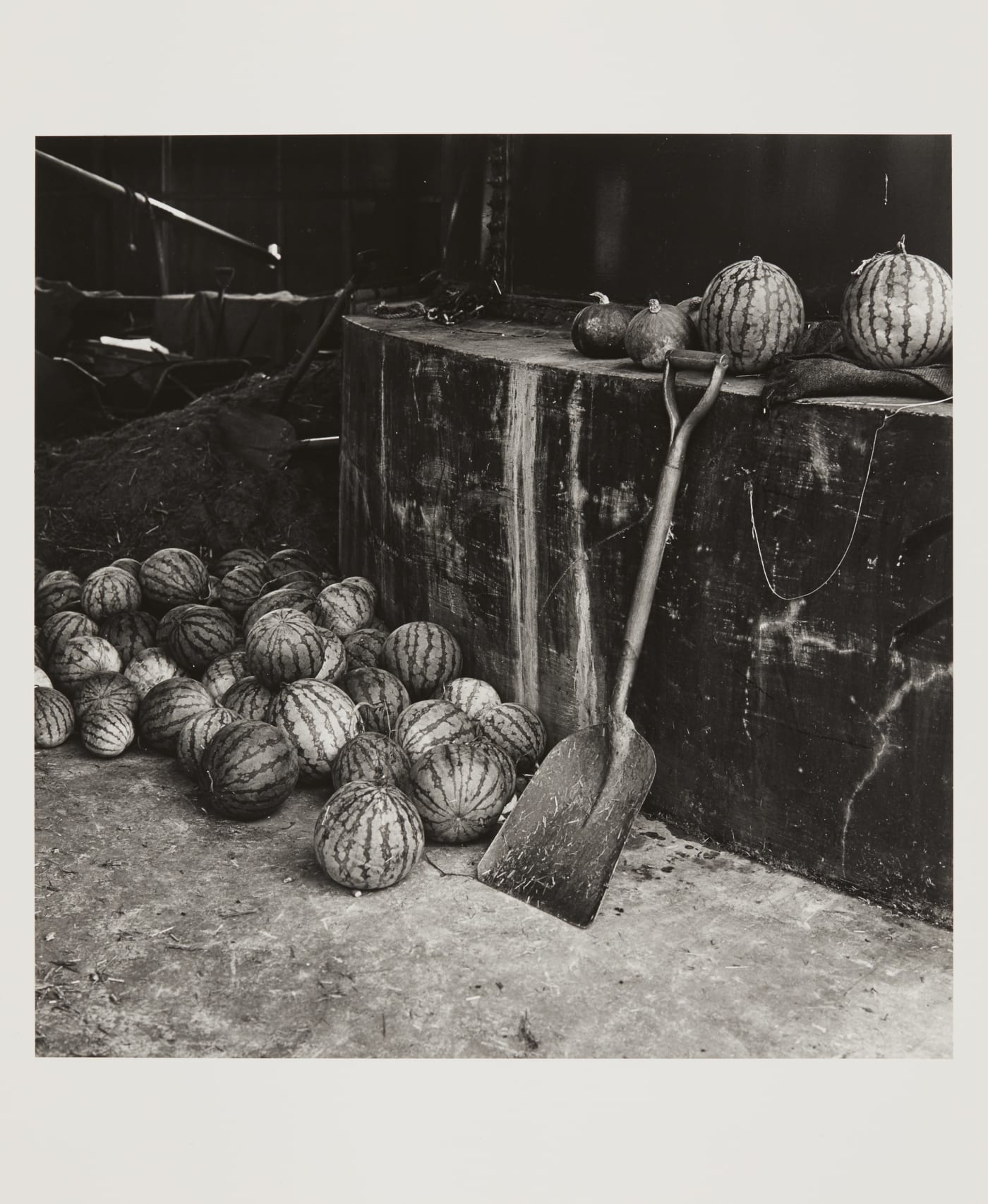 Hitoshi Tsukiji, "Shashinzo", 1984