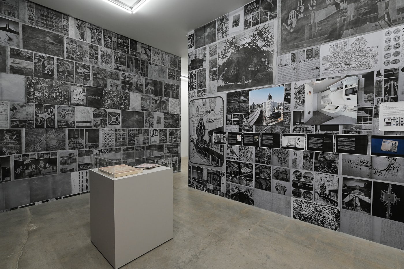 A show about an architectural monograph
