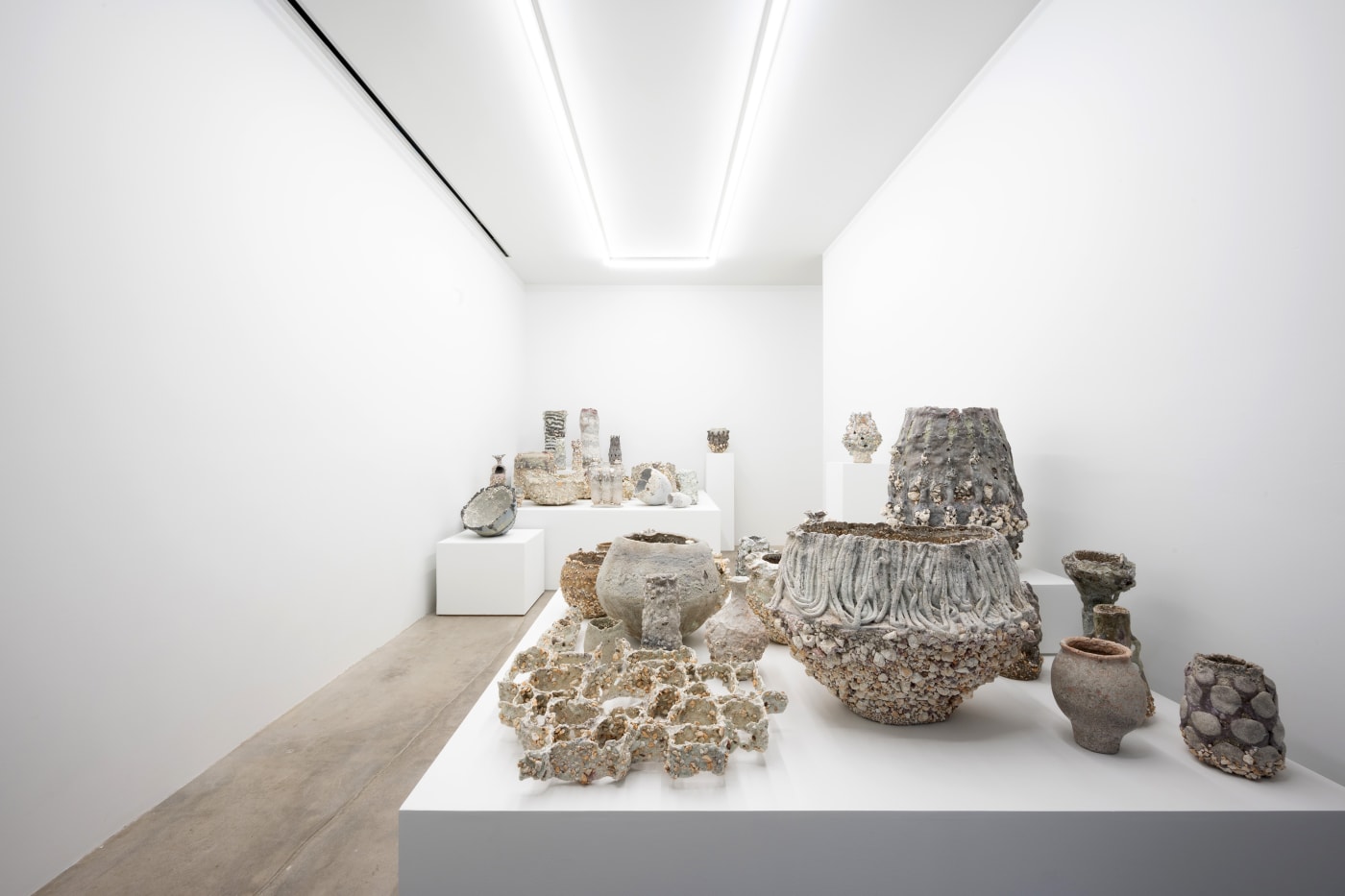 Installation View: Msaomi Yasunaga