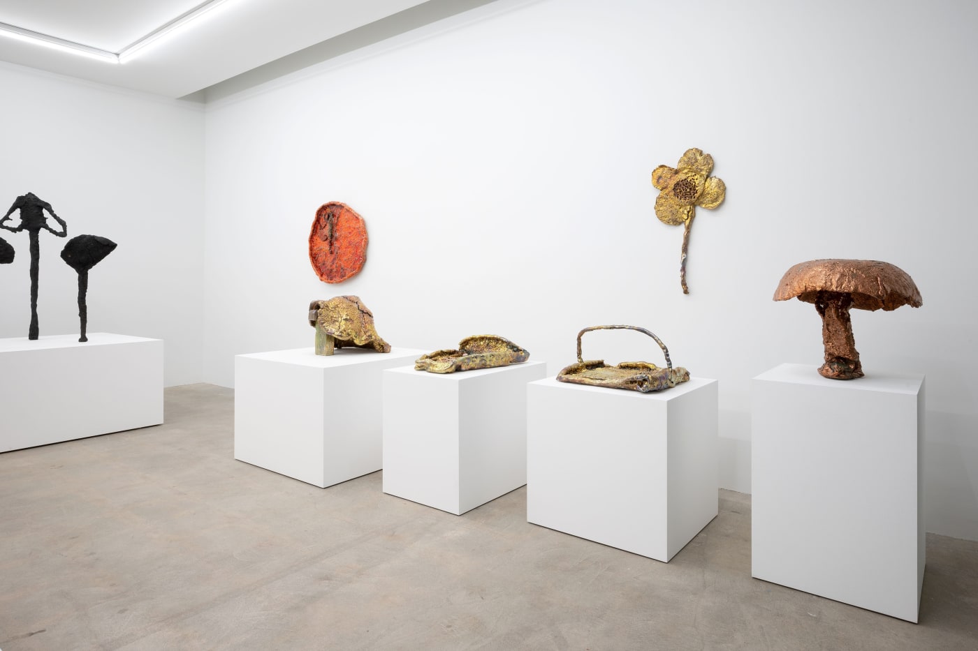 Installation View: Sterling Ruby