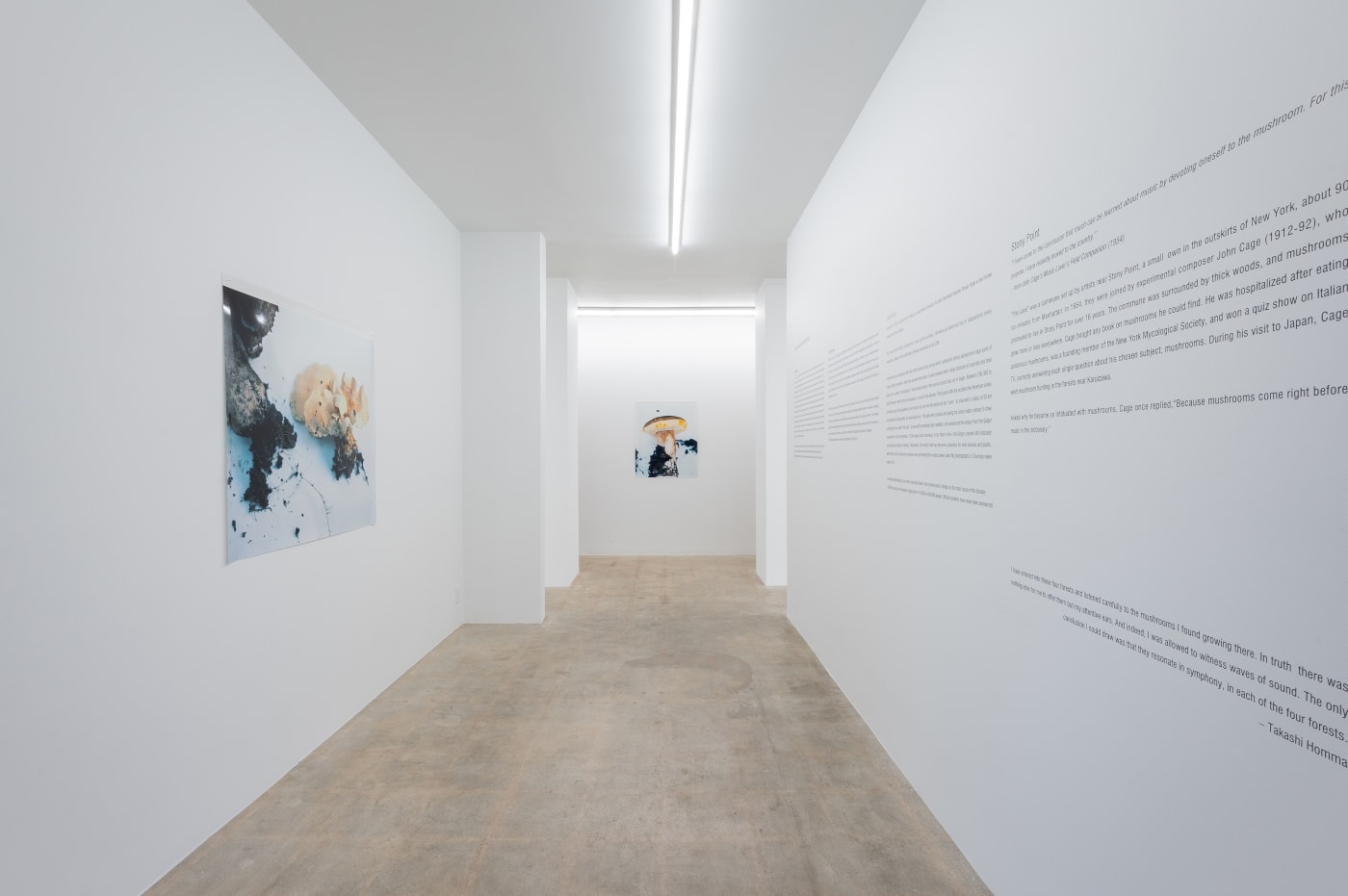 Takashi Homma