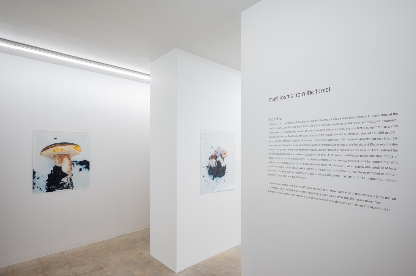 Takashi Homma