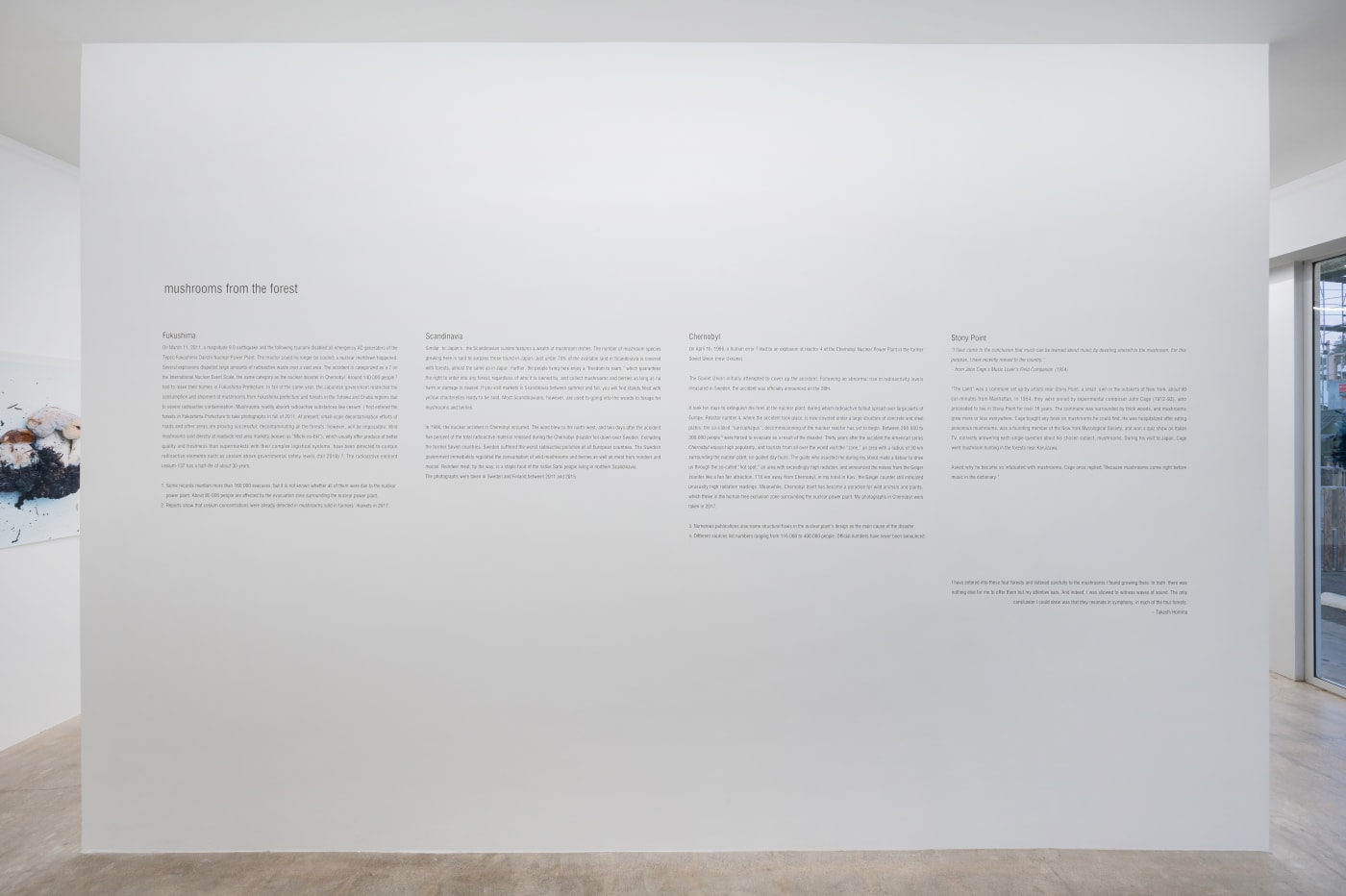 Takashi Homma