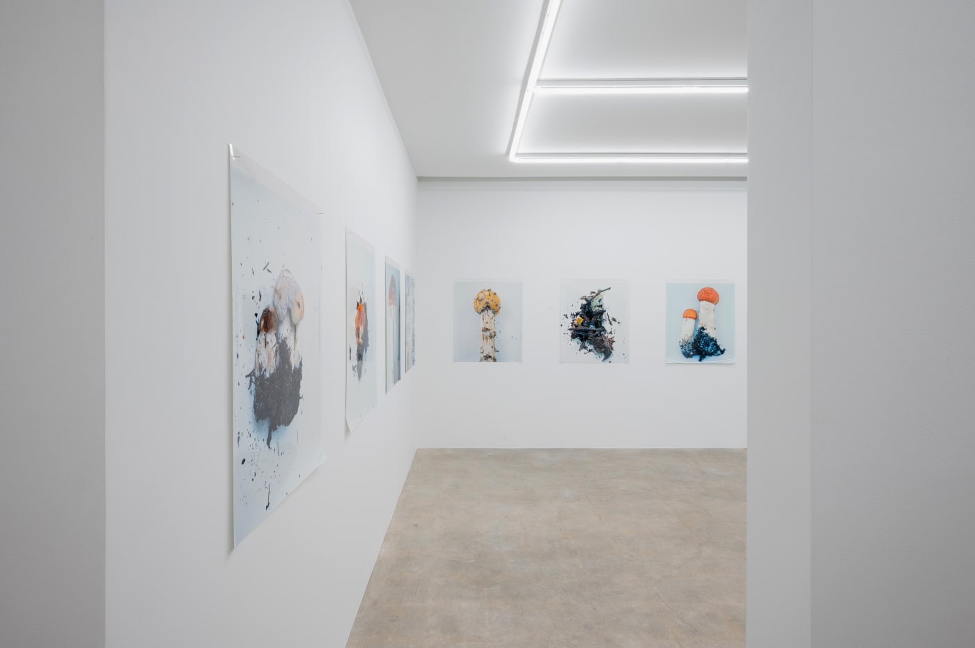 Takashi Homma