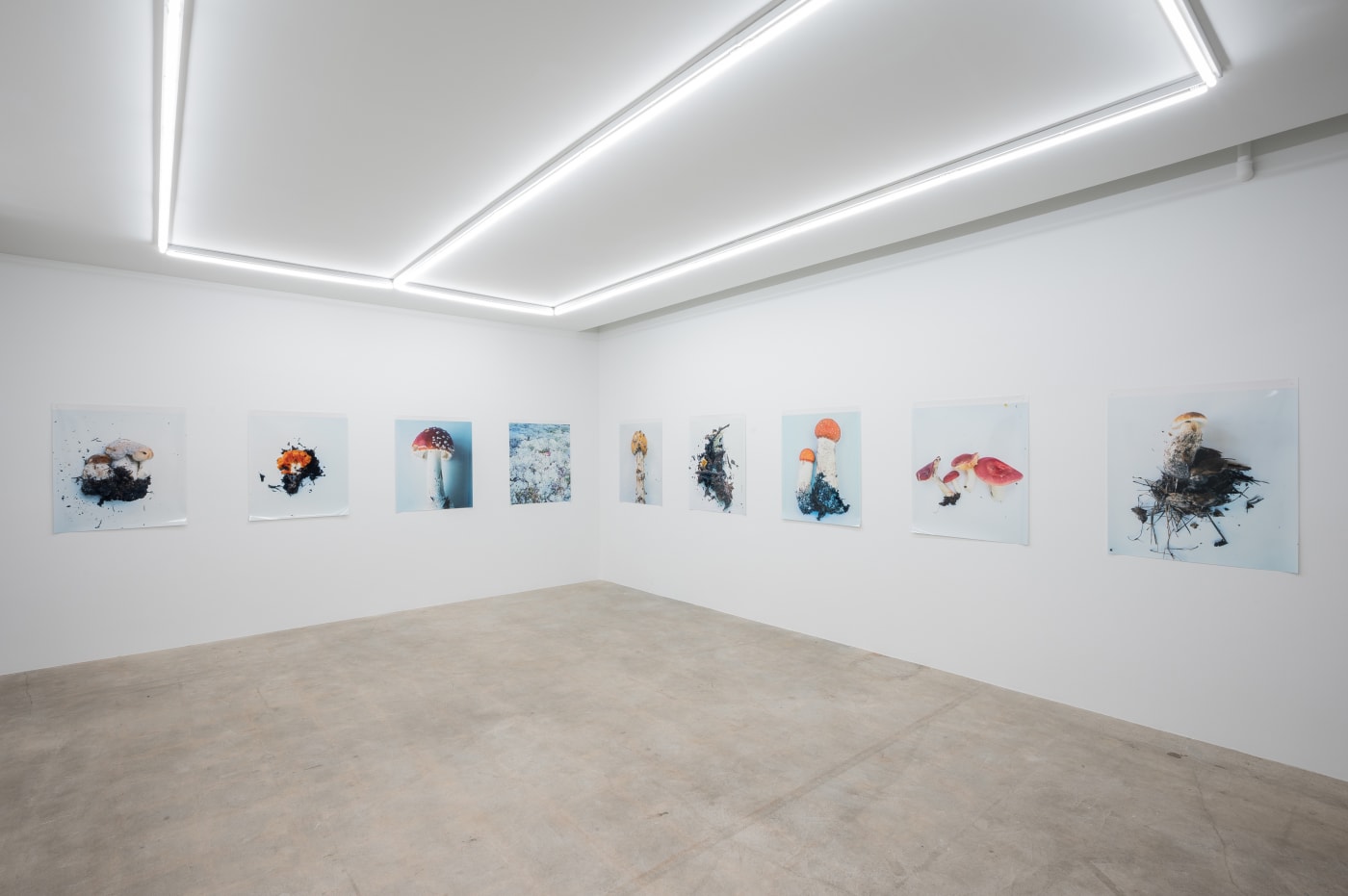 Takashi Homma
