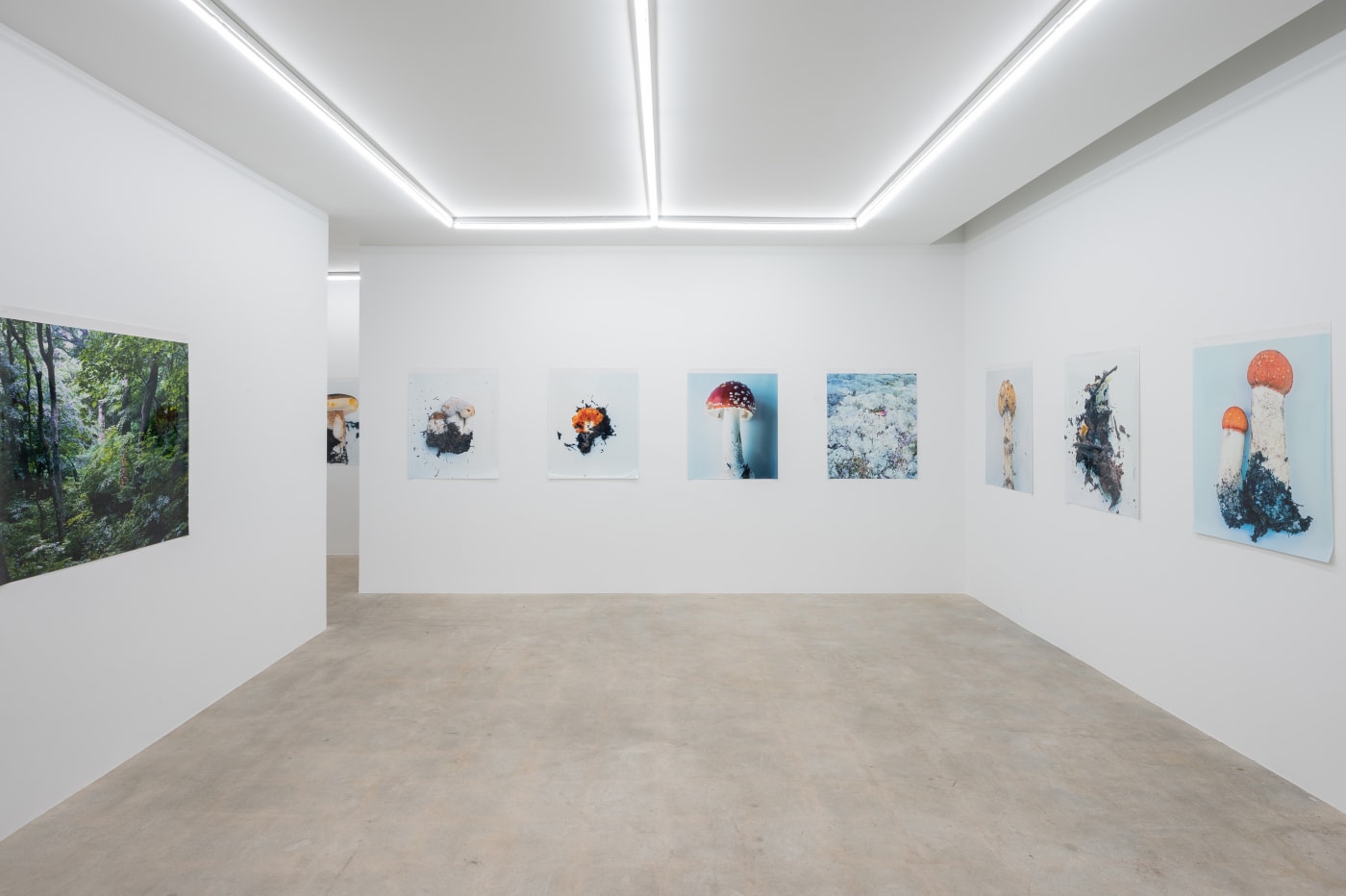 Takashi Homma