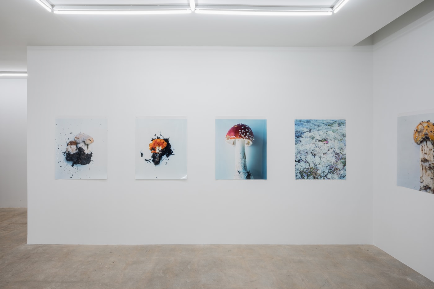 Takashi Homma