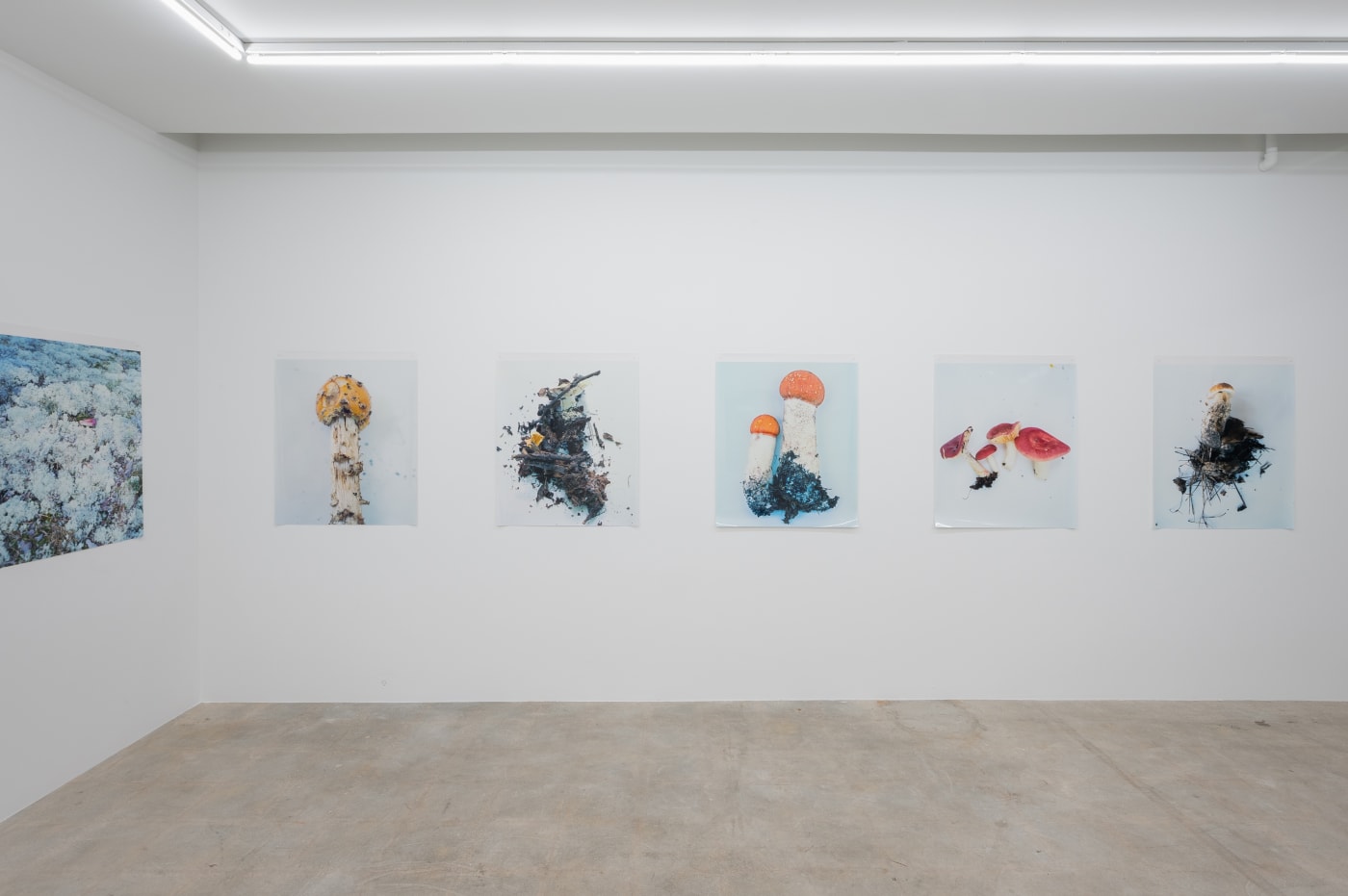 Takashi Homma