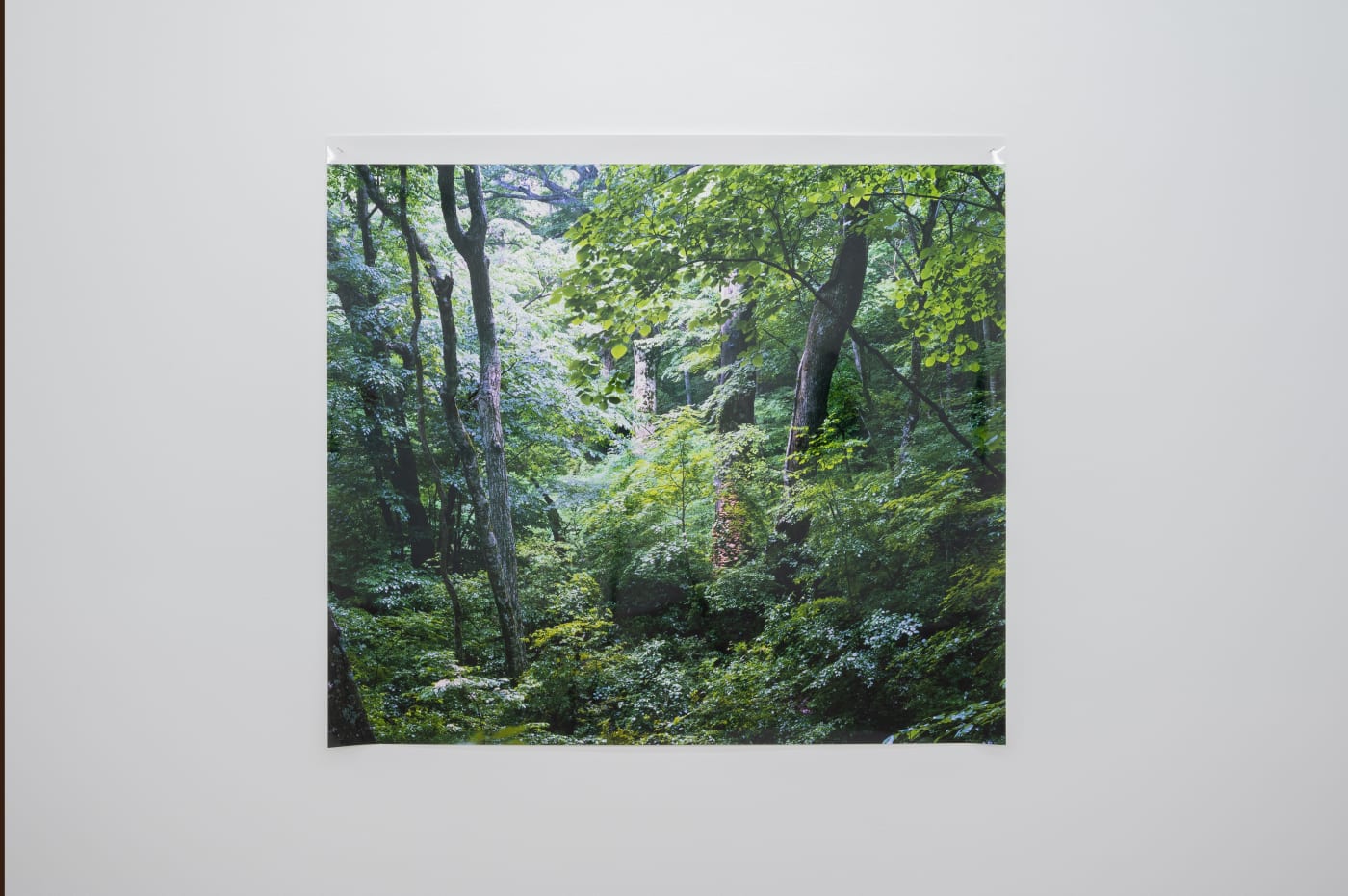 Takashi Homma