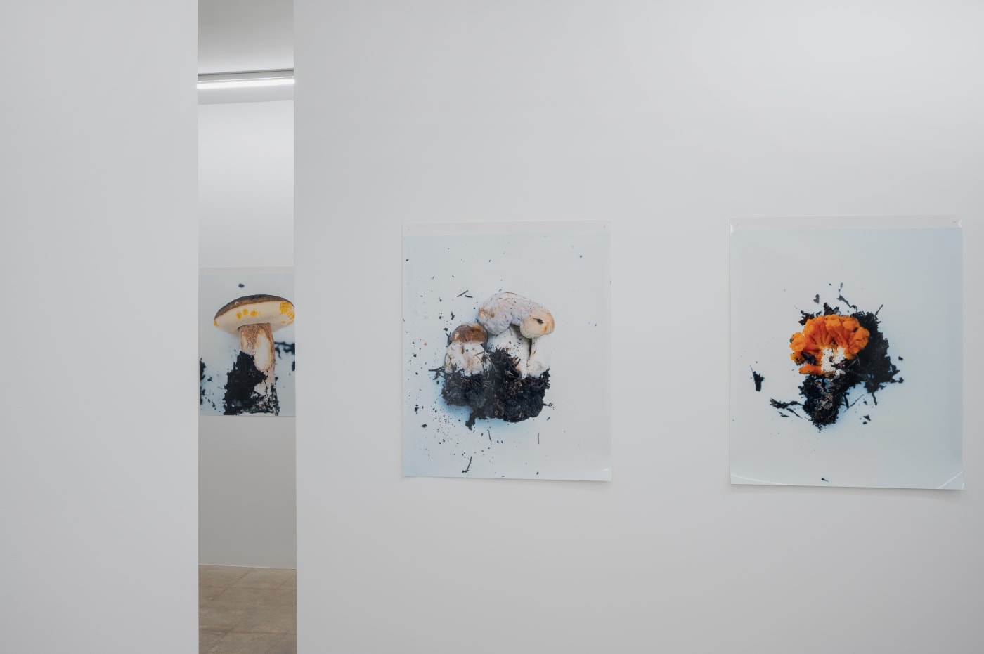 Takashi Homma