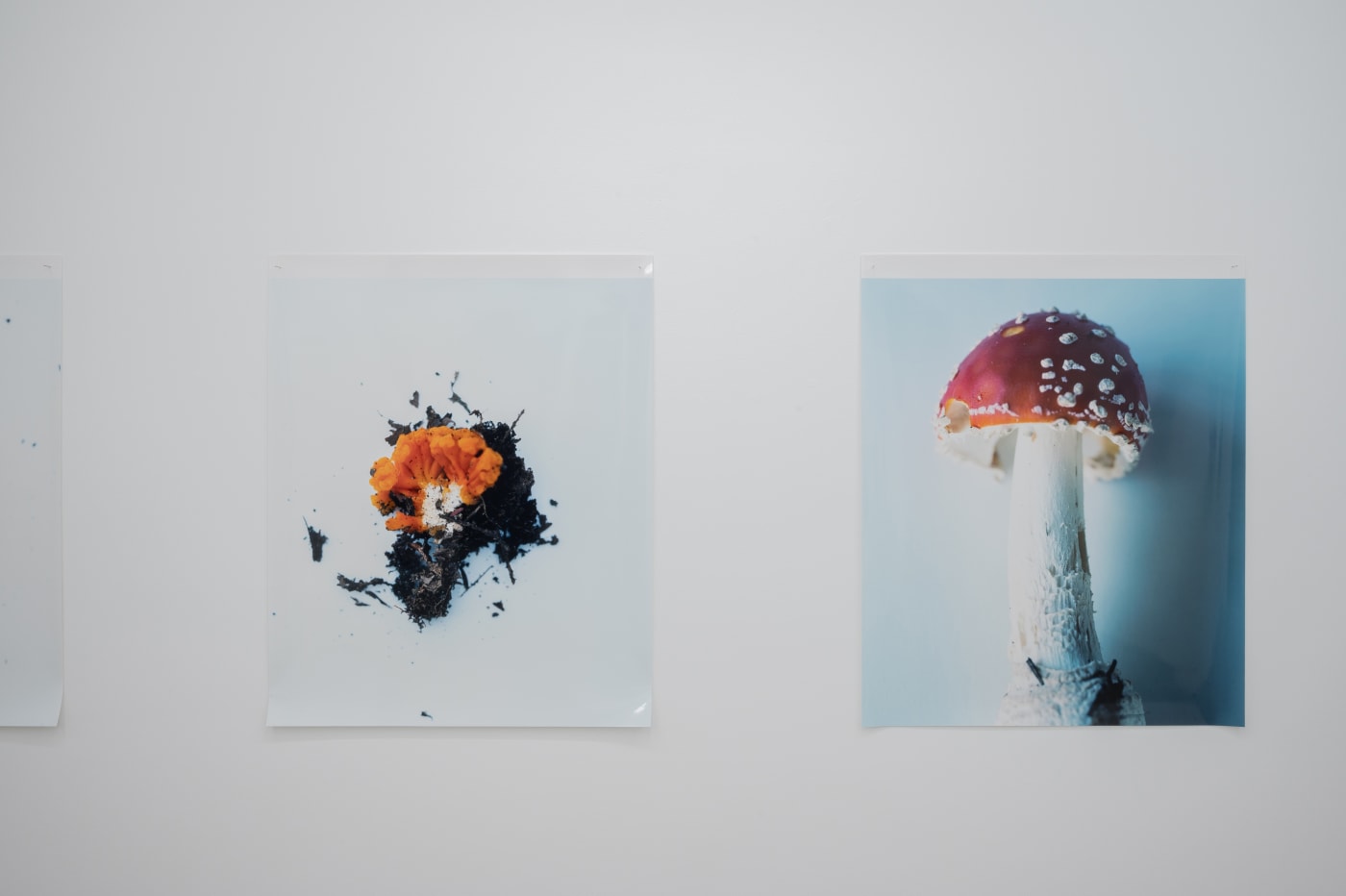 Takashi Homma