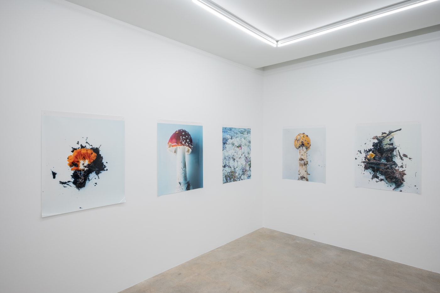 Takashi Homma