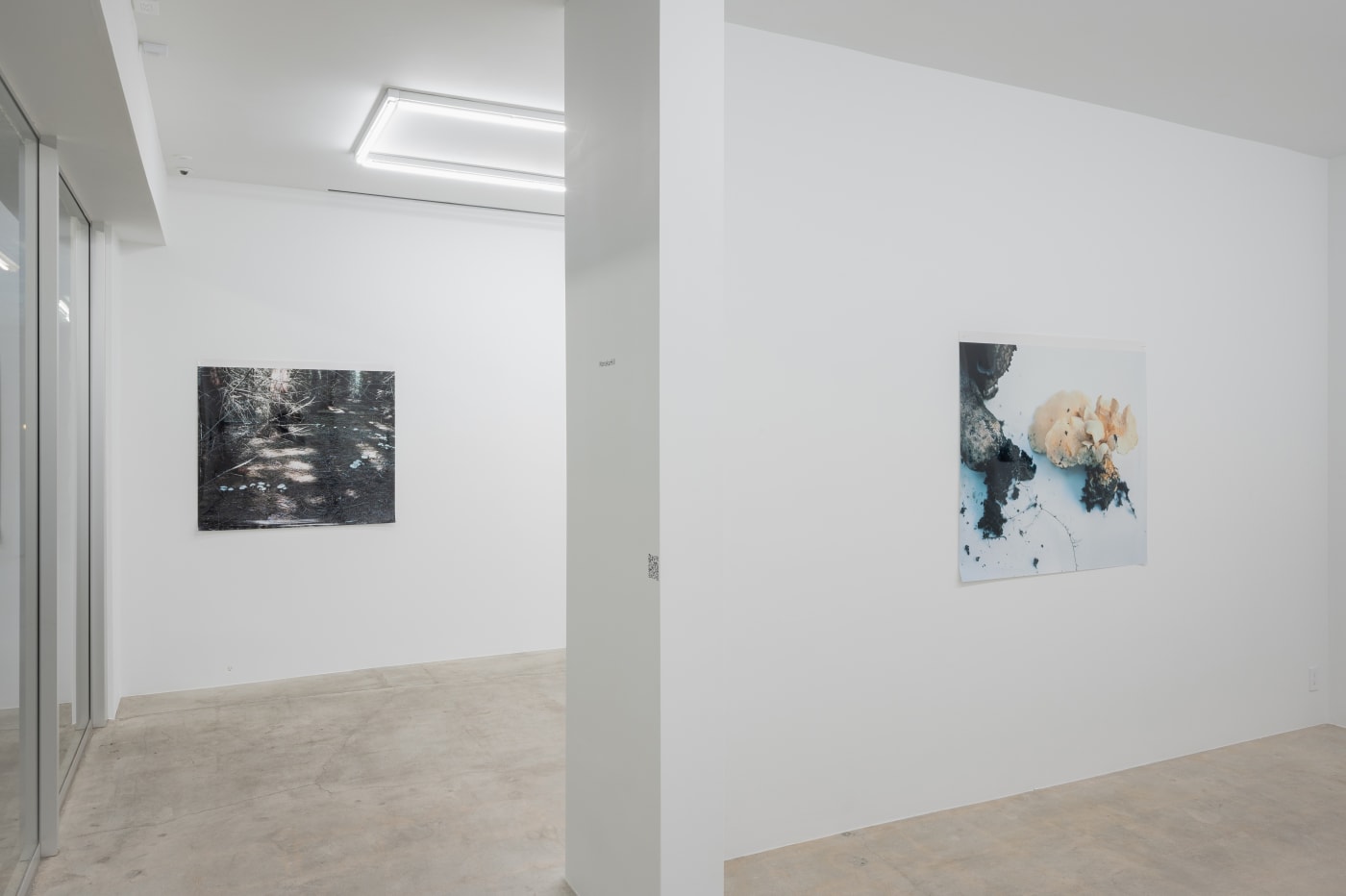 Takashi Homma