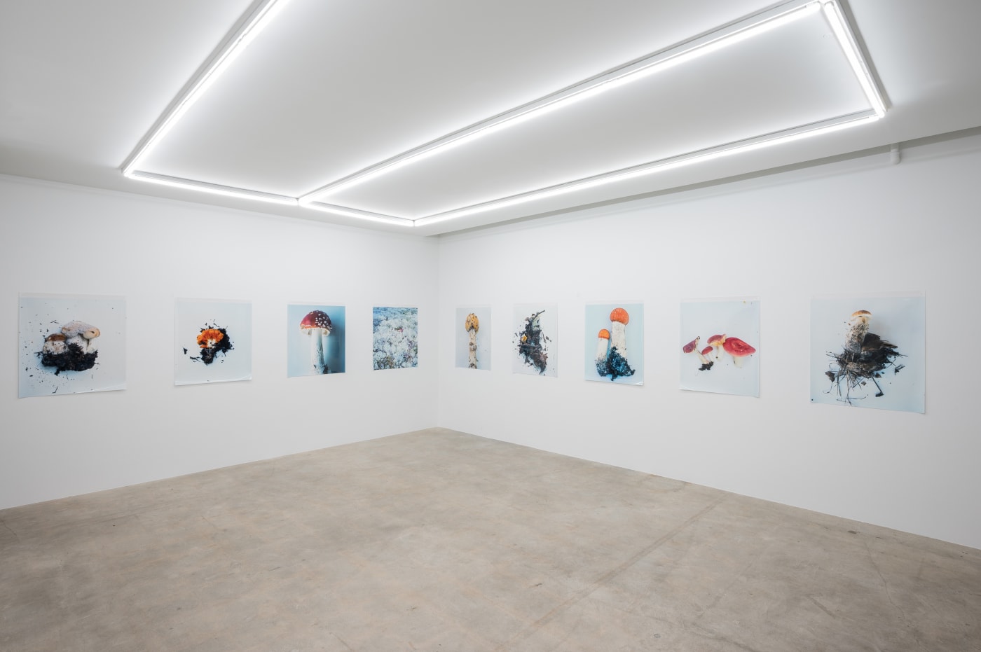Takashi Homma