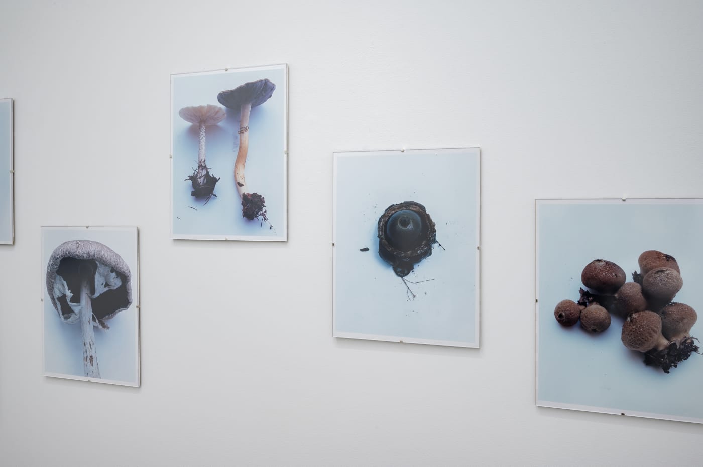 Takashi Homma