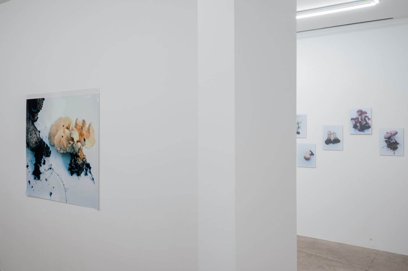 Takashi Homma