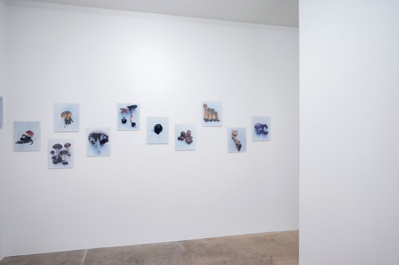 Takashi Homma