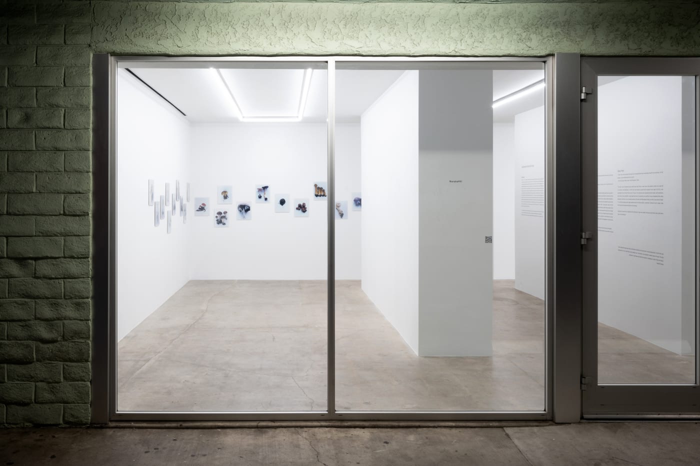 Takashi Homma