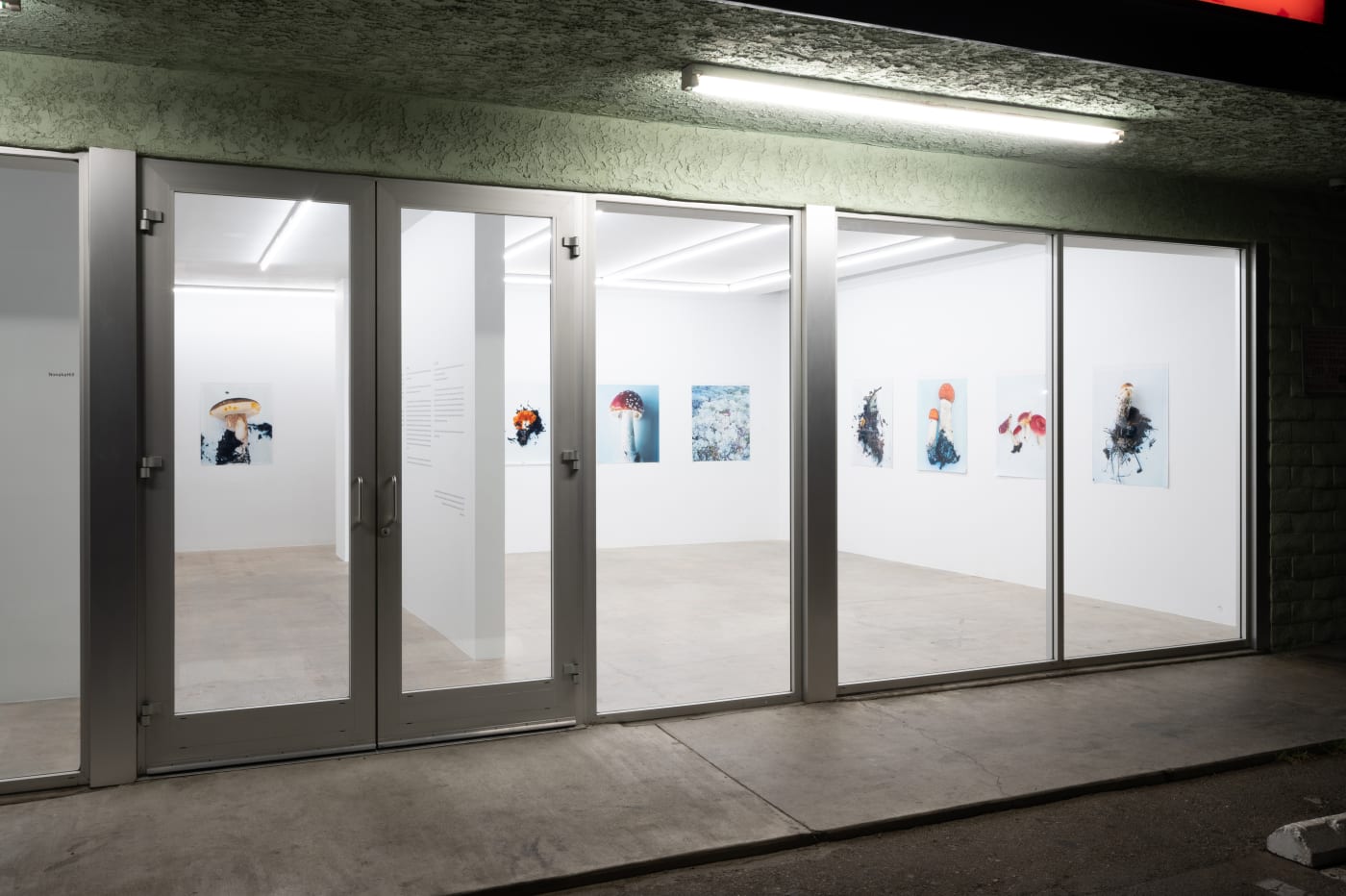 Takashi Homma