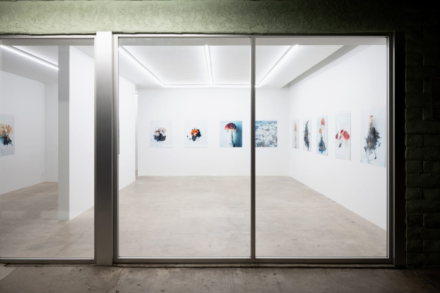 Takashi Homma