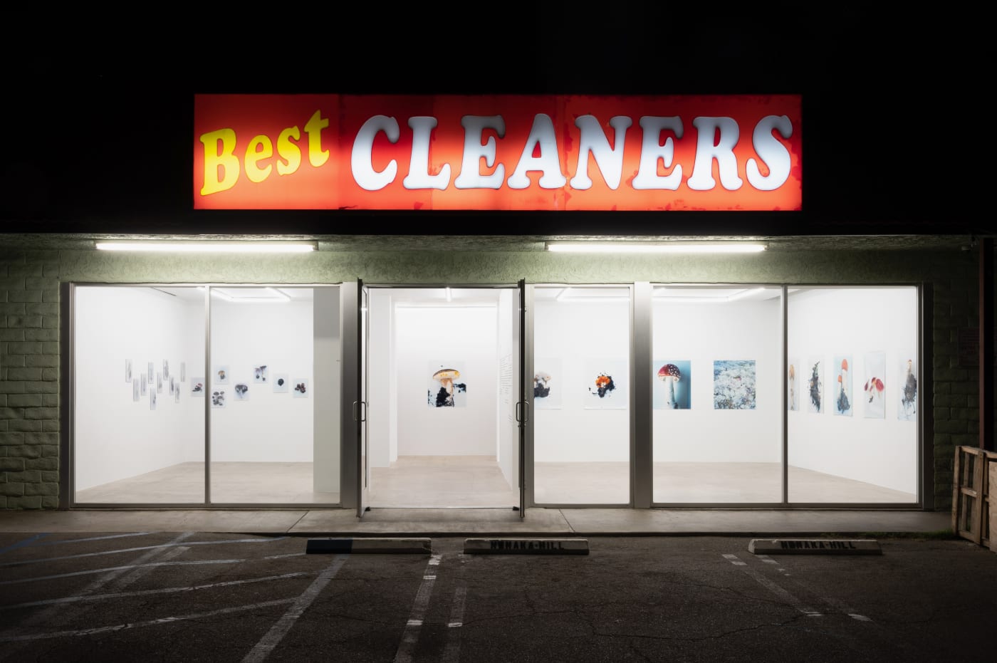Takashi Homma