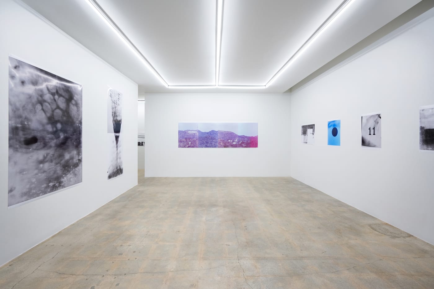 TAKASHI HOMMA