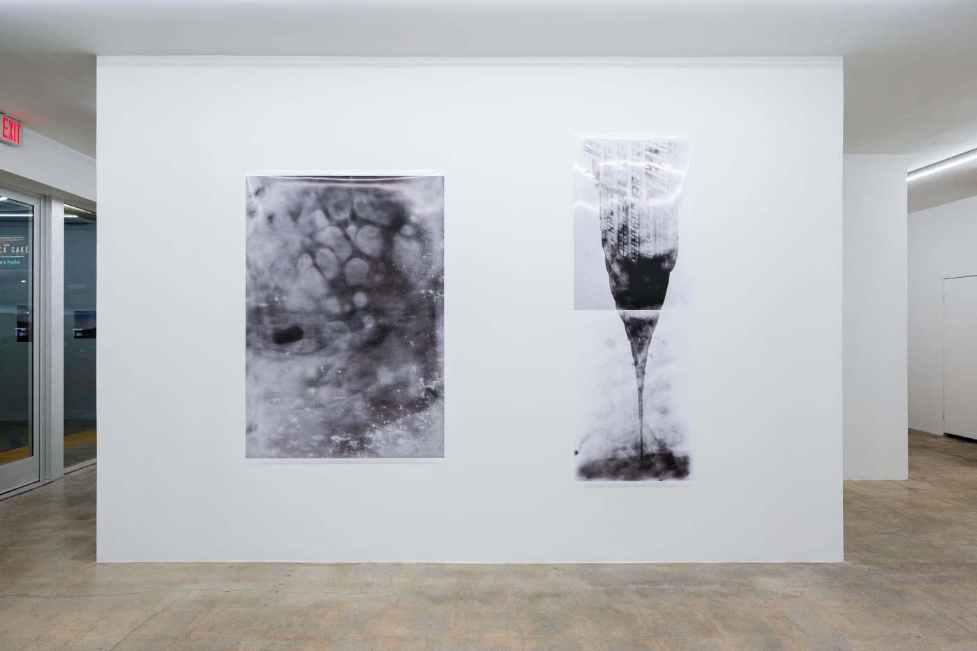 TAKASHI HOMMA